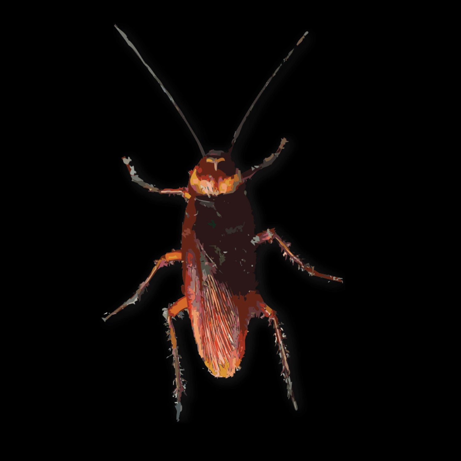 Cockroach 100% Cotton Unisex T-Shirt Everyday Casual Wear Original Since 1997 Shipping Globally