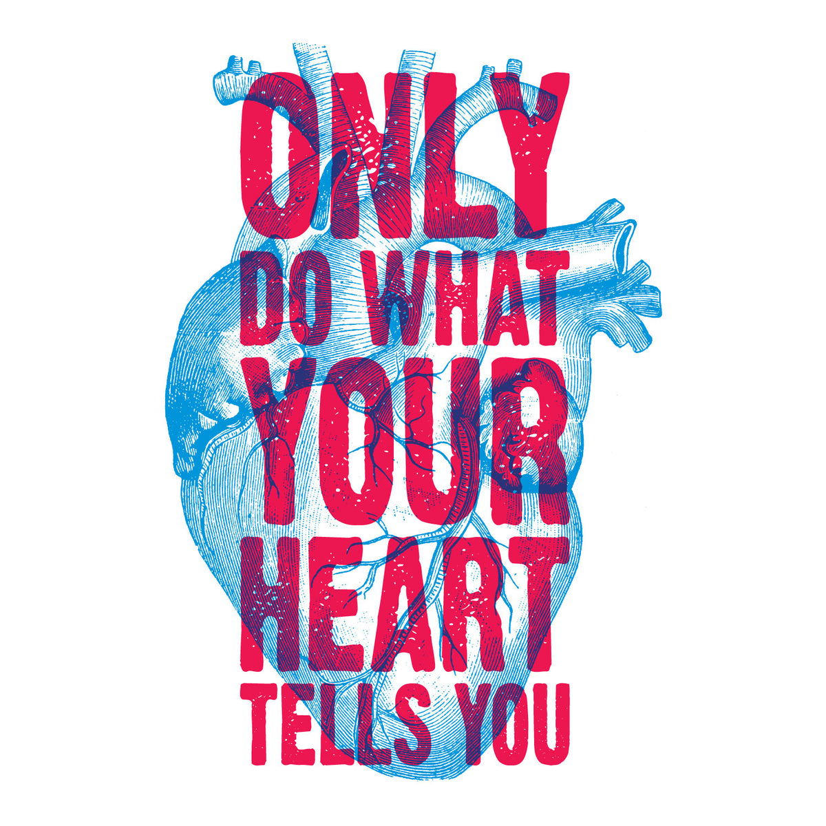 Heart Tells You Women's Graphic Printed Cotton T-Shirt | Anatomical Heart Artwork | Casual Wear | Original Since 1997