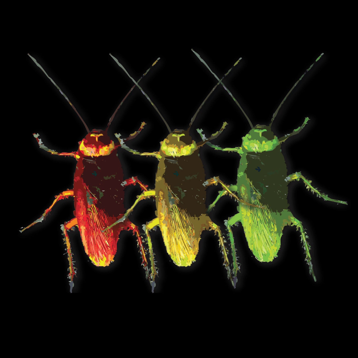 Three Color Cockroach Graphic Printed Unisex T-Shirt Original Since 1997 Shipping Globally